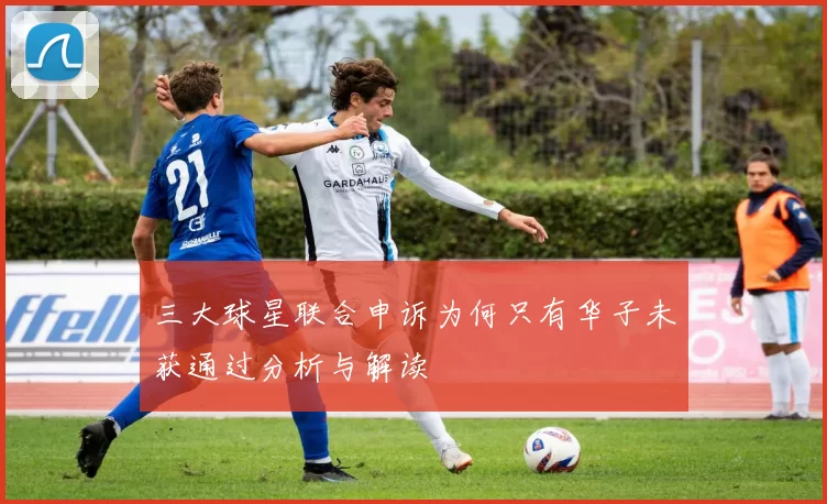 三大球星联合申诉为何只有华子未获通过分析与解读