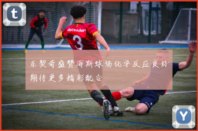 东契奇盛赞海斯球场化学反应良好期待更多精彩配合